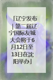 辽宁发布｜第二届辽宁国际友城大会将于6月12日至13日在沈阳举办