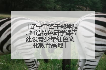 辽宁雷锋干部学院：打造特色研学课程 建设青少年红色文化教育高地