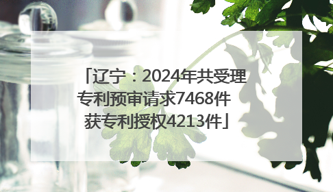 辽宁：2024年共受理专利预审请求7468件 获专利授权4213件