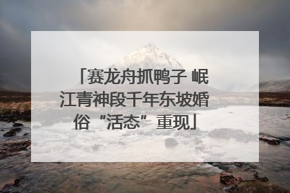 赛龙舟抓鸭子 岷江青神段千年东坡婚俗“活态”重现