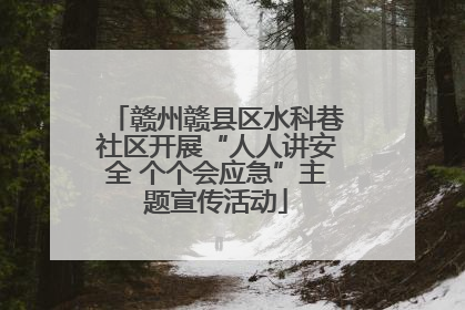 赣州赣县区水科巷社区开展“人人讲安全 个个会应急”主题宣传活动
