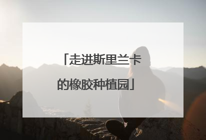走进斯里兰卡的橡胶种植园