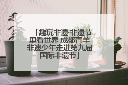 趣玩非遗·非遗节里看世界 成都青羊非遗少年走进第九届国际非遗节