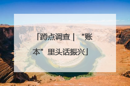 蹲点调查｜“账本”里头话振兴