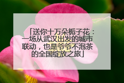 送你十万朵栀子花：一场从武汉出发的城市联动，也是爷爷不泡茶的全国绽放之旅