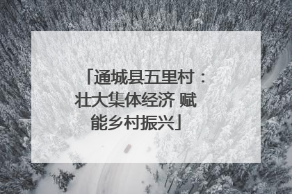 通城县五里村：壮大集体经济 赋能乡村振兴