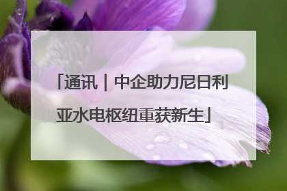 通讯｜中企助力尼日利亚水电枢纽重获新生