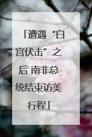 遭遇“白宫伏击”之后 南非总统结束访美行程