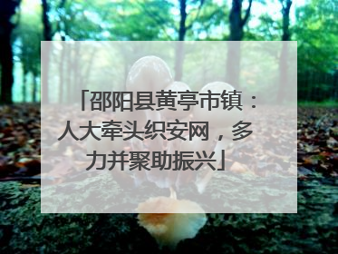 邵阳县黄亭市镇：人大牵头织安网，多力并聚助振兴