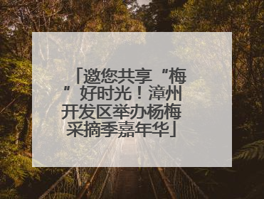 邀您共享“梅”好时光！漳州开发区举办杨梅采摘季嘉年华