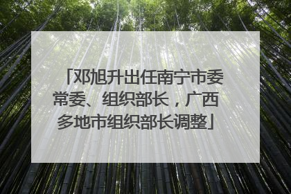 邓旭升出任南宁市委常委、组织部长，广西多地市组织部长调整