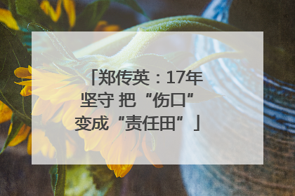 郑传英：17年坚守 把“伤口”变成“责任田”