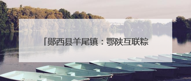 郧西县羊尾镇：鄂陕互联粽香两岸 龙舟逐浪共庆端阳