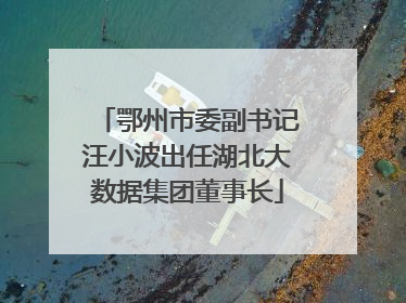 鄂州市委副书记汪小波出任湖北大数据集团董事长