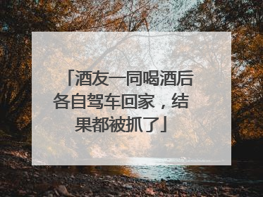 酒友一同喝酒后各自驾车回家，结果都被抓了