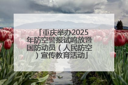 重庆举办2025年防空警报试鸣放暨国防动员（人民防空）宣传教育活动