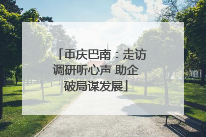 重庆巴南：走访调研听心声 助企破局谋发展