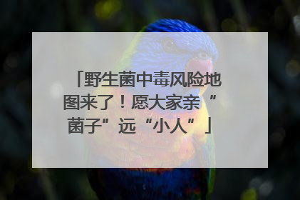 野生菌中毒风险地图来了！愿大家亲“菌子”远“小人”