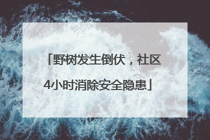 野树发生倒伏，社区4小时消除安全隐患