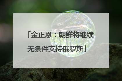 金正恩：朝鲜将继续无条件支持俄罗斯