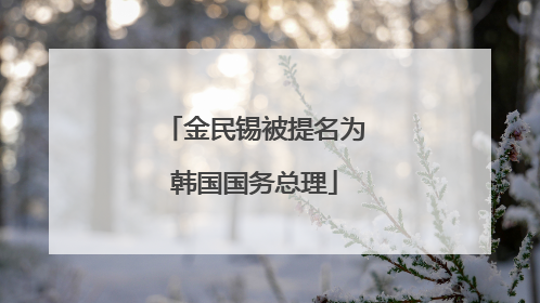 金民锡被提名为韩国国务总理