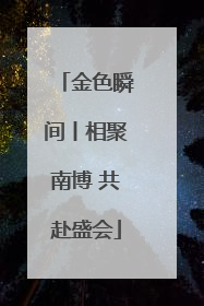 金色瞬间丨相聚南博 共赴盛会
