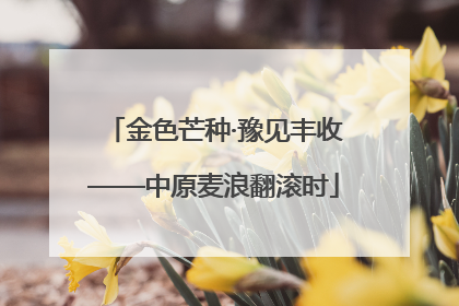 金色芒种·豫见丰收——中原麦浪翻滚时