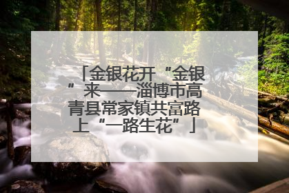 金银花开“金银”来——淄博市高青县常家镇共富路上“一路生花”
