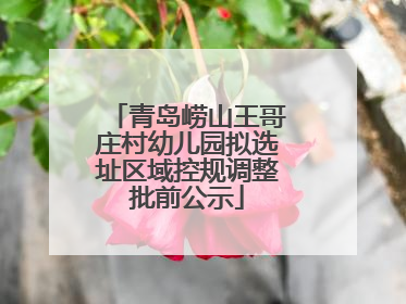 青岛崂山王哥庄村幼儿园拟选址区域控规调整批前公示