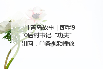 青岛故事｜即墨90后村书记“功夫”出圈，单条视频播放量过600万