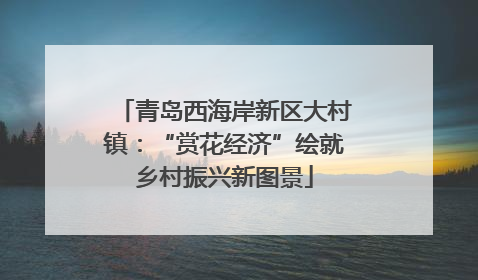青岛西海岸新区大村镇：“赏花经济”绘就乡村振兴新图景