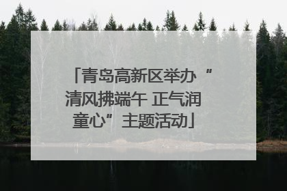 青岛高新区举办“清风拂端午 正气润童心”主题活动