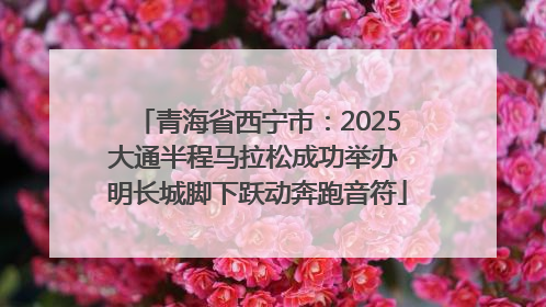 青海省西宁市：2025大通半程马拉松成功举办 明长城脚下跃动奔跑音符