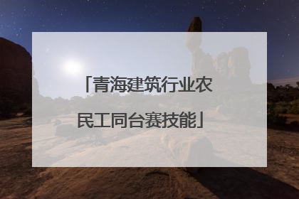 青海建筑行业农民工同台赛技能