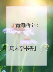 青海西宁：周末享书香