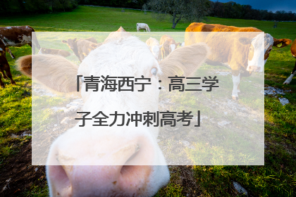 青海西宁：高三学子全力冲刺高考