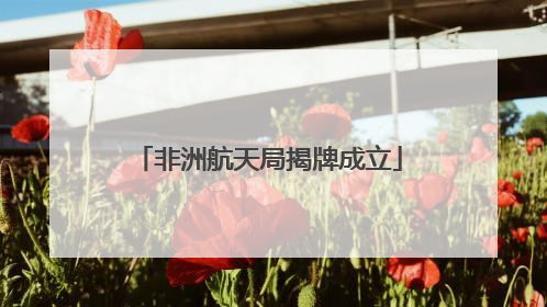非洲航天局揭牌成立