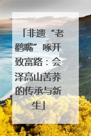 非遗“老鹳嘴”啄开致富路：会泽高山苦荞的传承与新生