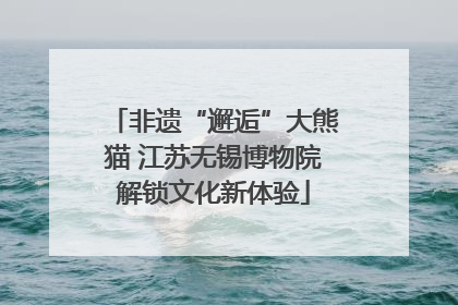 非遗“邂逅”大熊猫 江苏无锡博物院解锁文化新体验
