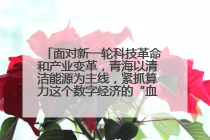 面对新一轮科技革命和产业变革，青海以清洁能源为主线，紧抓算力这个数字经济的“血液”、科技主权的“筹码”、产业升级的“杠杆”、绿色转型的“支点”，勇于撬动国家“双碳”战略、“东数西算”工程重大发展新机遇