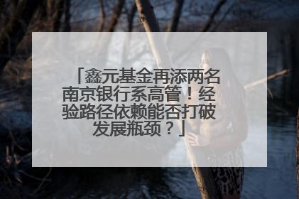 鑫元基金再添两名南京银行系高管！经验路径依赖能否打破发展瓶颈？