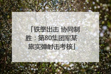 铁拳出击 协同制胜：第80集团军某旅实弹射击考核
