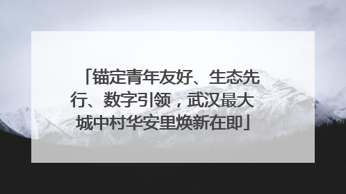 锚定青年友好、生态先行、数字引领，武汉最大城中村华安里焕新在即