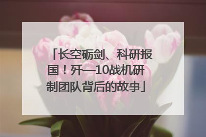 长空砺剑、科研报国！歼—10战机研制团队背后的故事