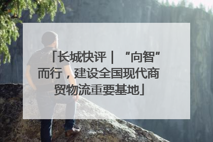 长城快评｜“向智”而行，建设全国现代商贸物流重要基地