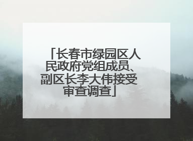 长春市绿园区人民政府党组成员、副区长李大伟接受审查调查