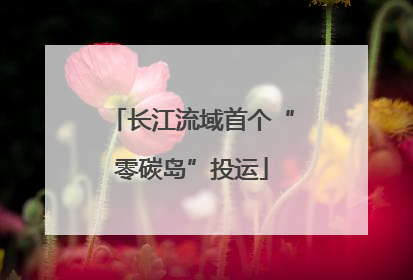 长江流域首个“零碳岛”投运