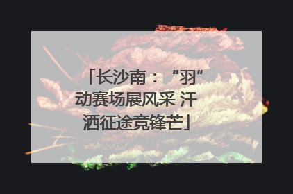 长沙南：“羽”动赛场展风采 汗洒征途竞锋芒