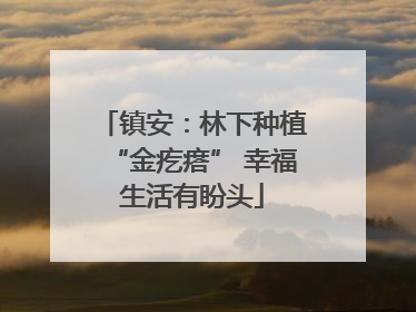 镇安：林下种植“金疙瘩” 幸福生活有盼头