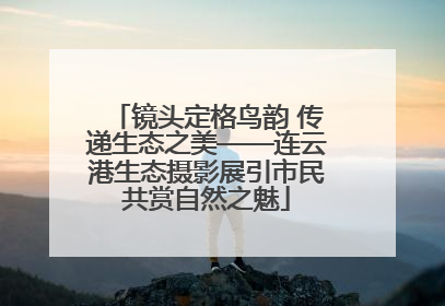 镜头定格鸟韵 传递生态之美——连云港生态摄影展引市民共赏自然之魅